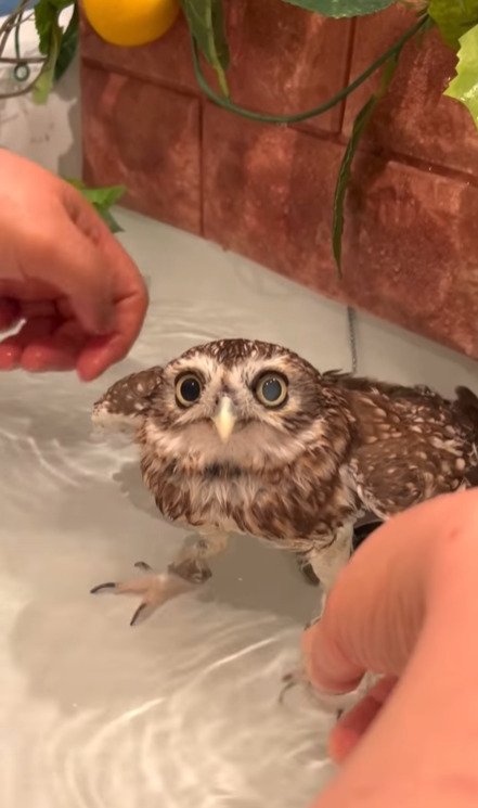 出所：@cr8673.hiro