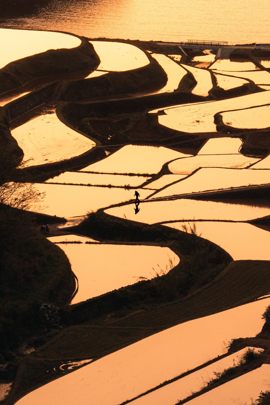 出所：@kodaikawahara