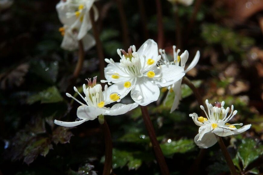 Kumi Nakagawa/istockphoto.com