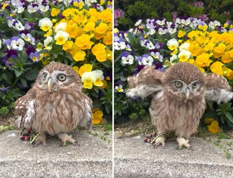 出所：@cr8673.hiro