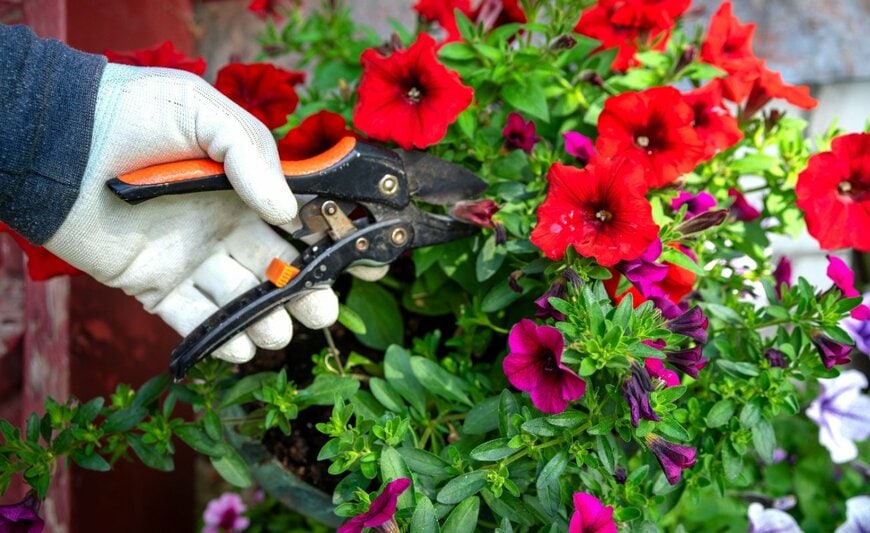 Svetliy/shutterstock.com