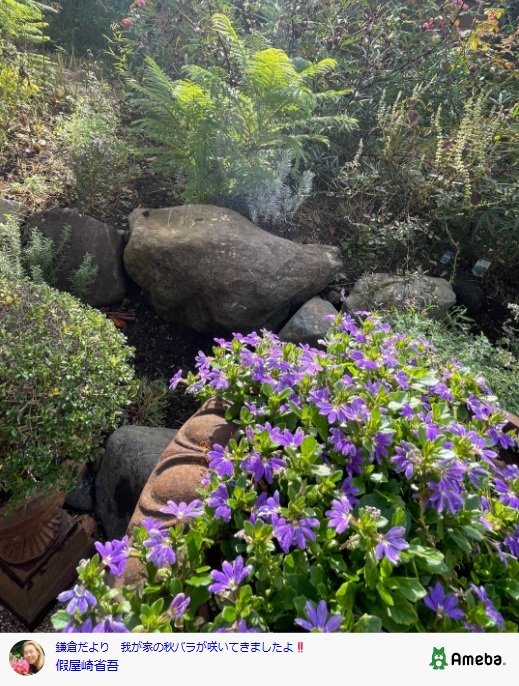 出所：假屋崎省吾のAmebaブログ 参照日：2025年10月20日