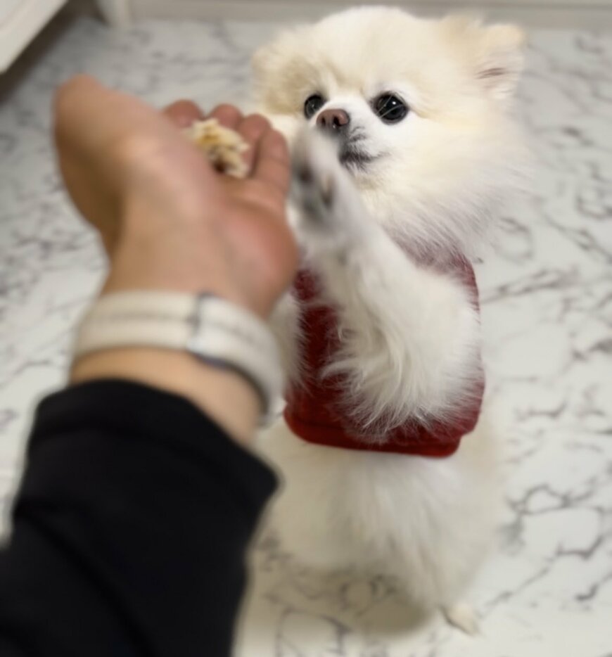 出所：@boku_ponchan