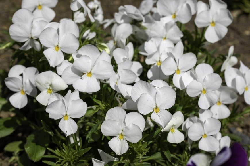 Wirestock/istockphoto.com