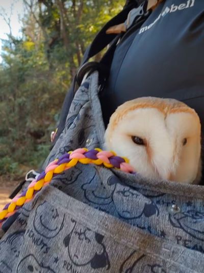 出所：@miki4wan108