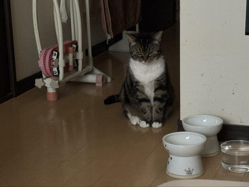 出所：@marukotokinako