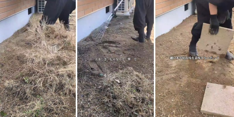 出所：@kusakari.zamurai