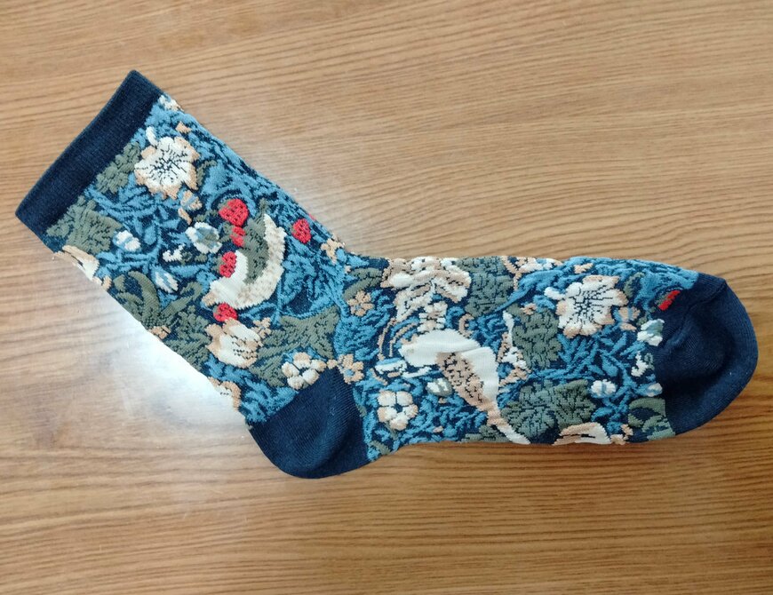 筆者撮影（セリア、婦人ショートクルー丈 いちご泥棒柄 WM）