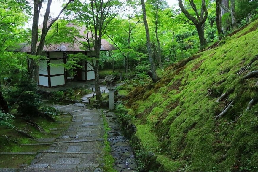 緑が美しい光景