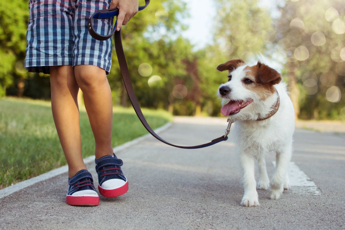 子どもが 犬を飼いたい 費用は 環境は 飼う前に要チェックの4つのポイント Limo くらしとお金の経済メディア