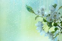 「厚生年金と国民年金」平均的な収支はいくらになるか。サービス付き高齢者向け住宅の費用も