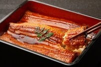 “ウナギ神話”が根強い理由をアナゴと比較して考えてみた