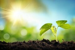 ESG投資のその先へ！ 歴史に学ぶ「社会インパクト投資」の可能性