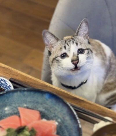 「笑っているように見えるときの表情が好き」