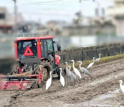 投稿の画像