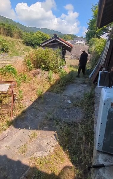 投稿の画像