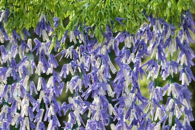 洗濯バサミで作った「藤の花のカーテン」が話題　驚きのクオリティに「本物に見えた」
