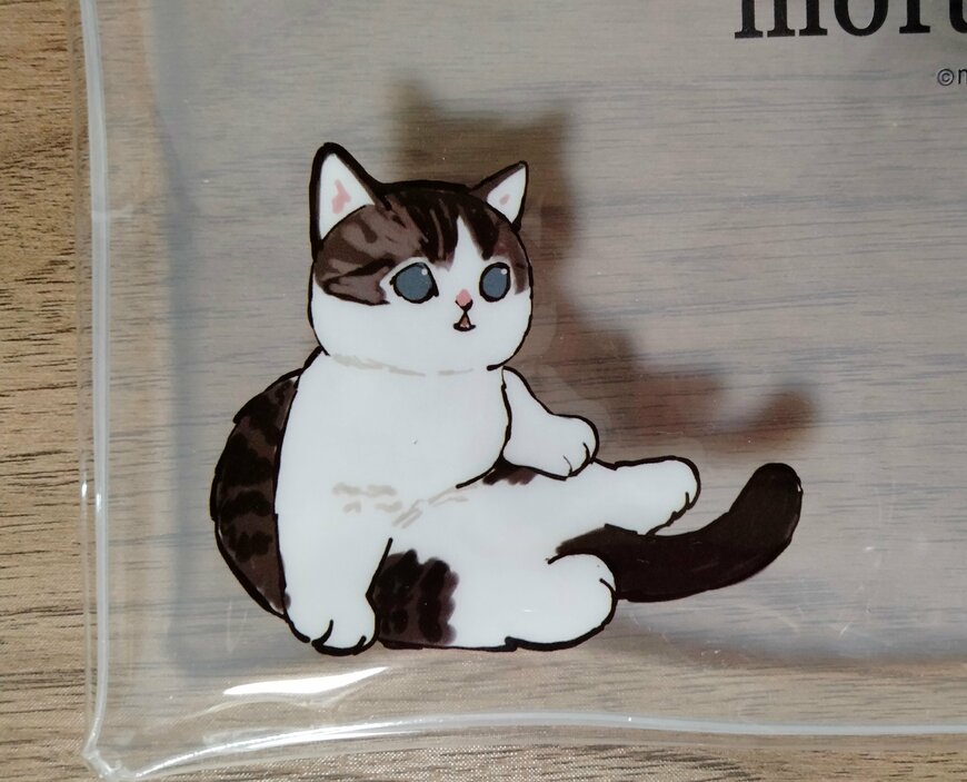 筆者撮影（セリア、mofusand ビニールポーチミニ）