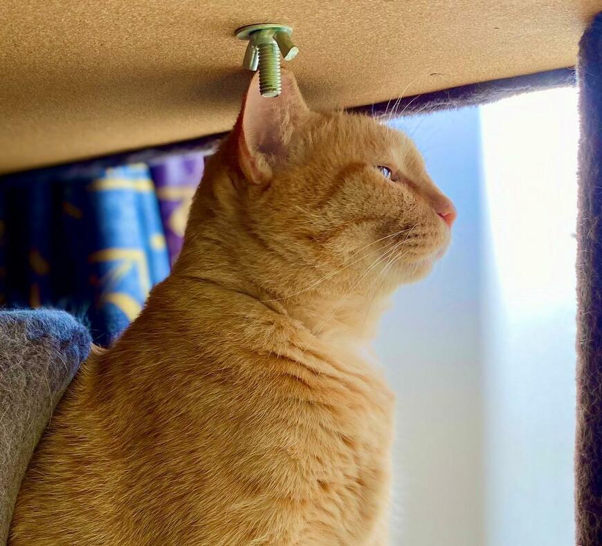 出所：@luna7taka9