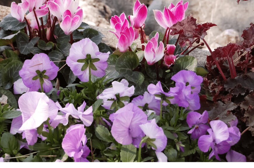 dragunoff/istockphoto.com