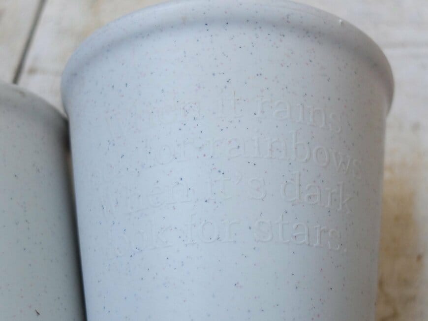 筆者撮影／ダイソー、植木鉢（円形）4号、12cm