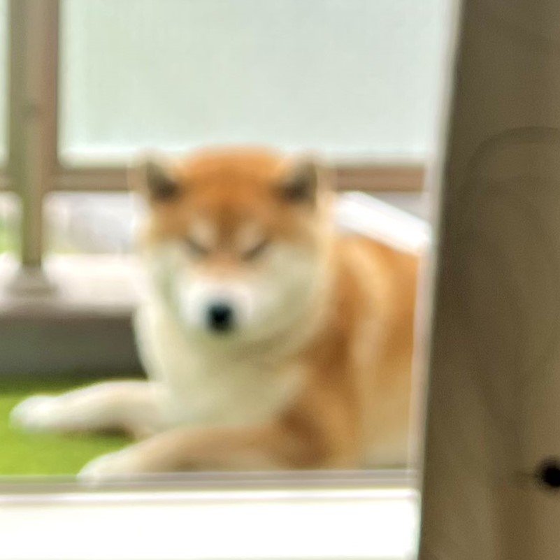 出所：@Shibamugi28