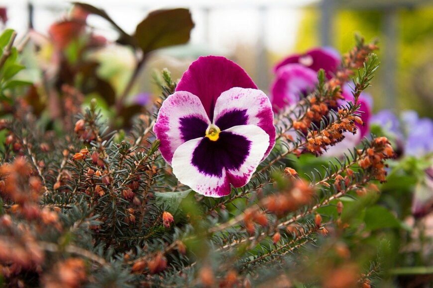 Aschen/istockphoto.com