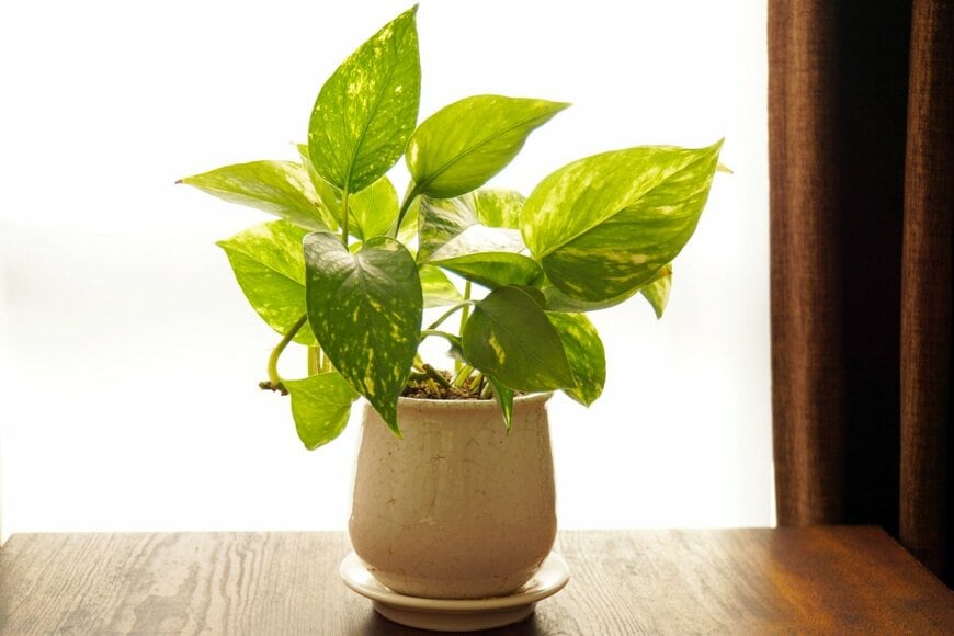 mshin/shutterstock.com