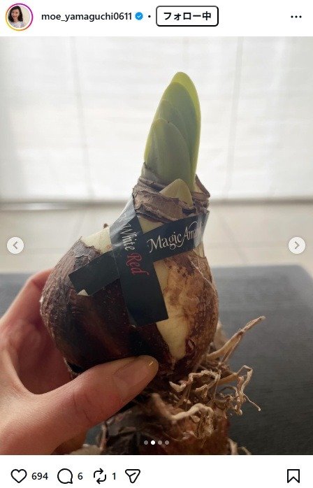 出所：山口もえのInstagram（＠moe_yamaguchi0611）　参照日：2026年1月30日