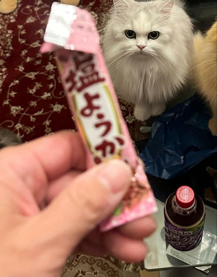 出所：@NEKOLAND13