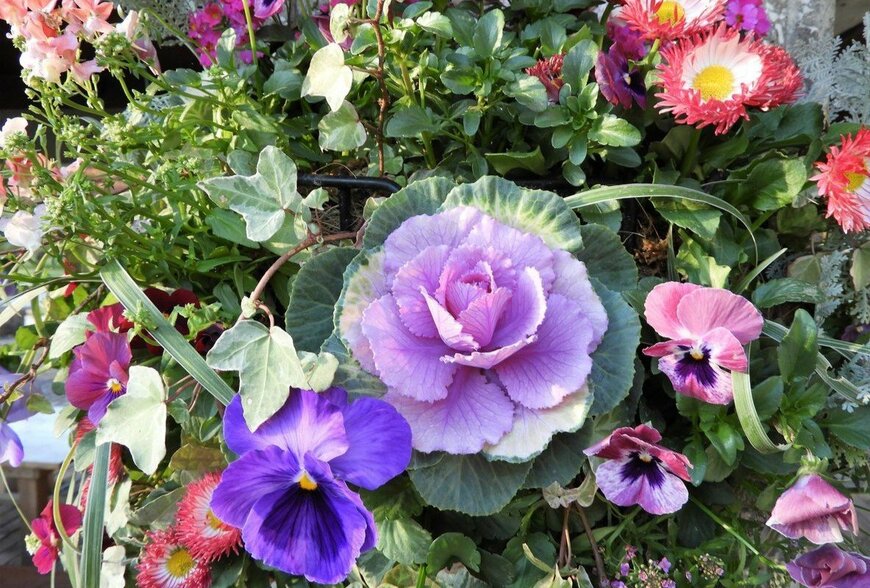 Chiemi Kumitani/istockphoto.com