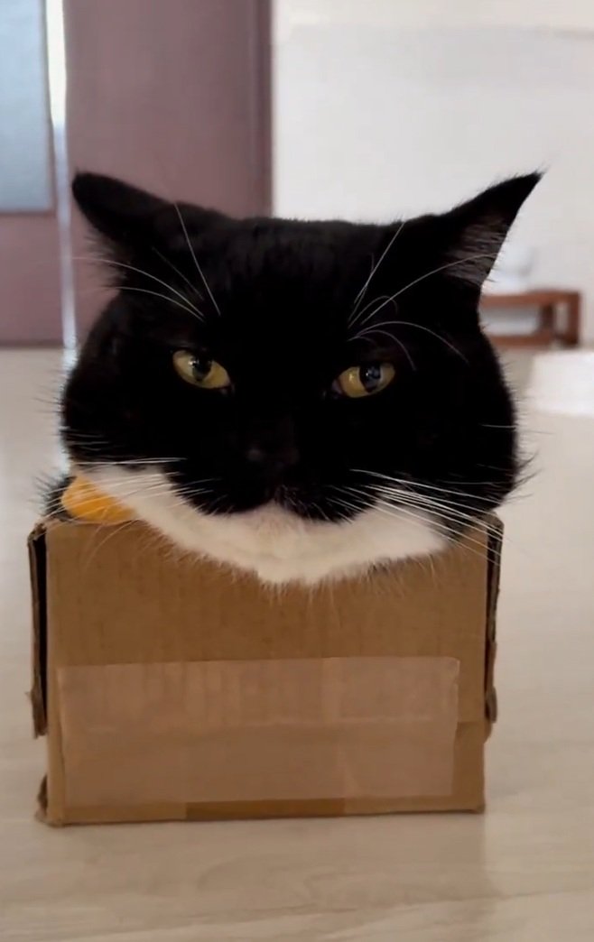 出所:@unicouniuni3