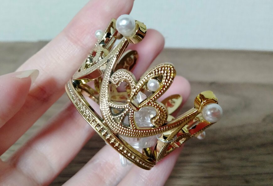 筆者撮影（セリア、ペット用クラウン）