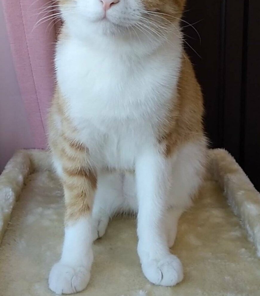 出所：@mero627puri914