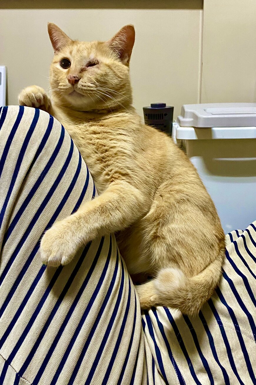 出所：@luna7taka9