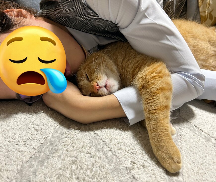 出所：@Beercat_Ana_Dar