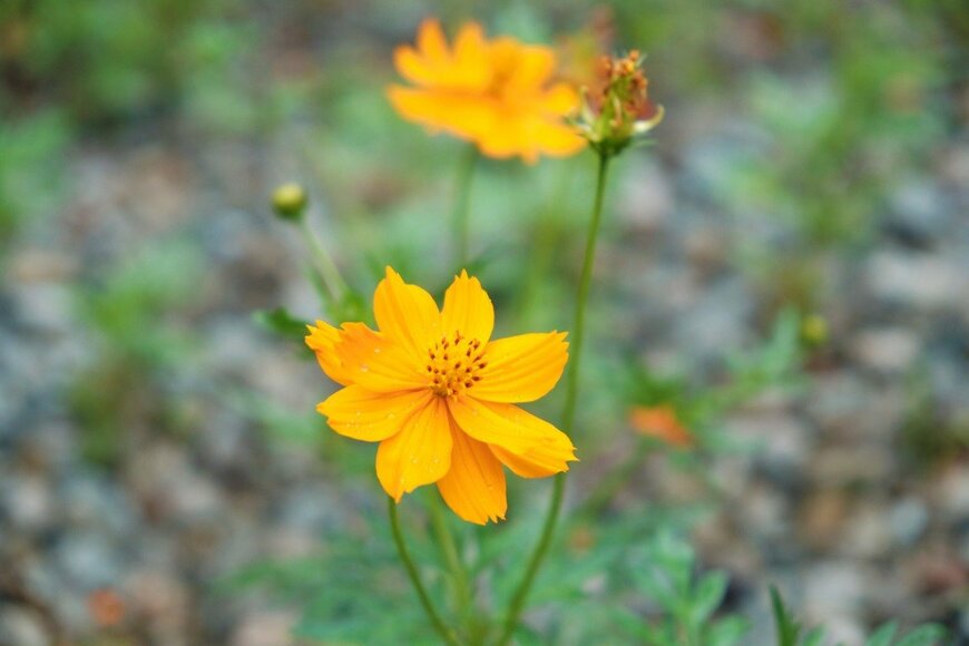 ho ura/istockphoto.com