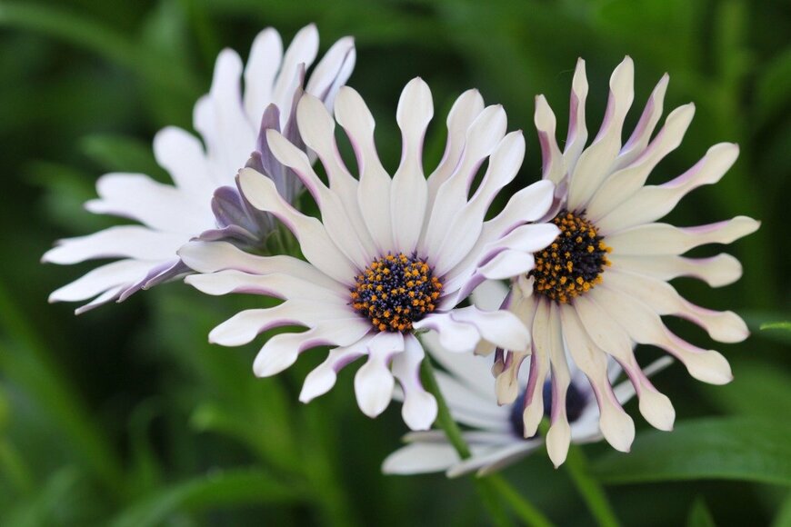 aimintang/istockphoto.com