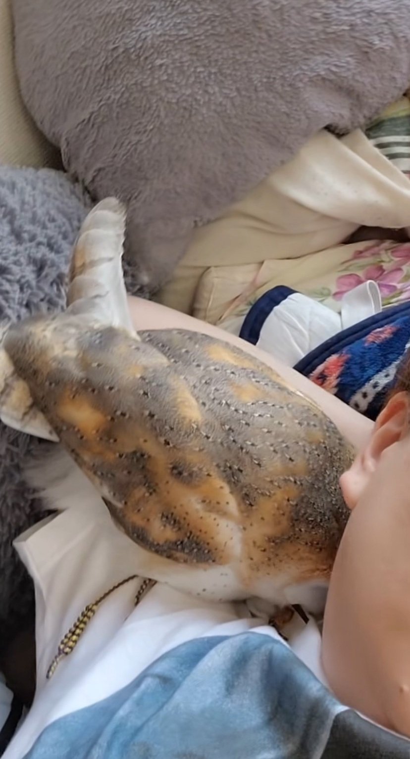 出所：@miki4wan108