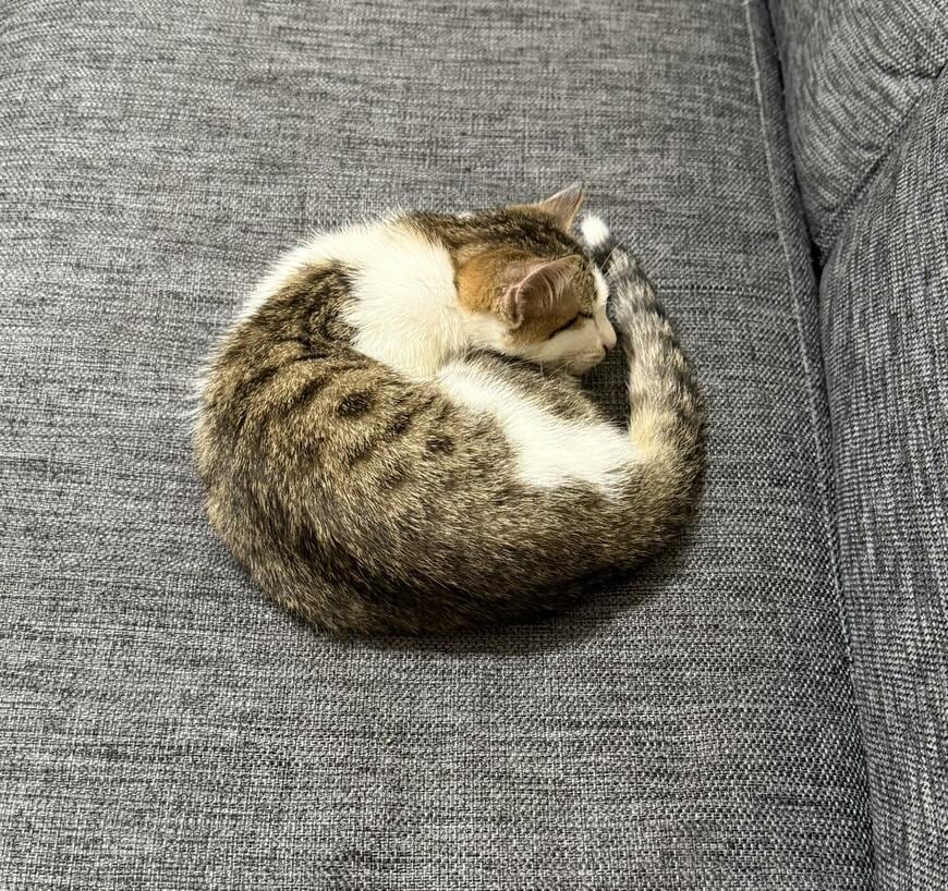 出所：@00shitemita