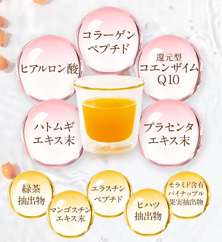 出所：株式会社京福堂提供