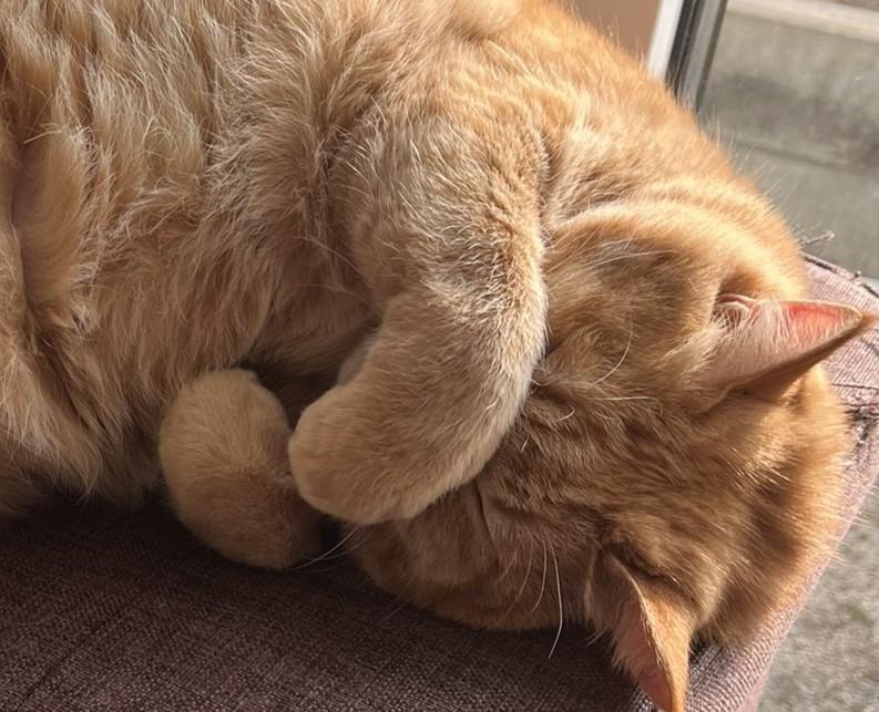 出所：@kagisuzu0531