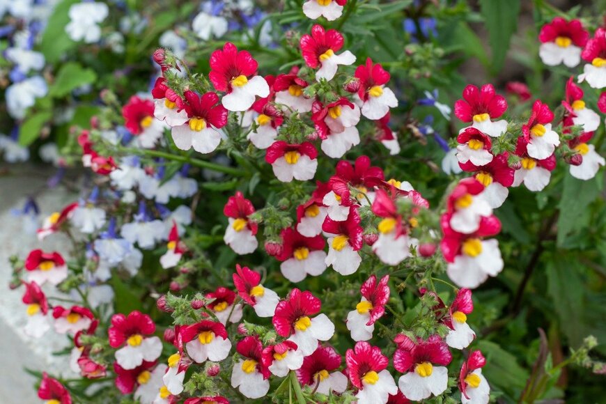 delobol/istockphoto.com