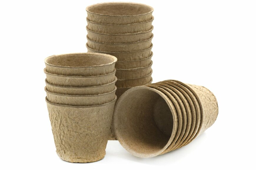 Deborah Lee Rossiter/shutterstock.com