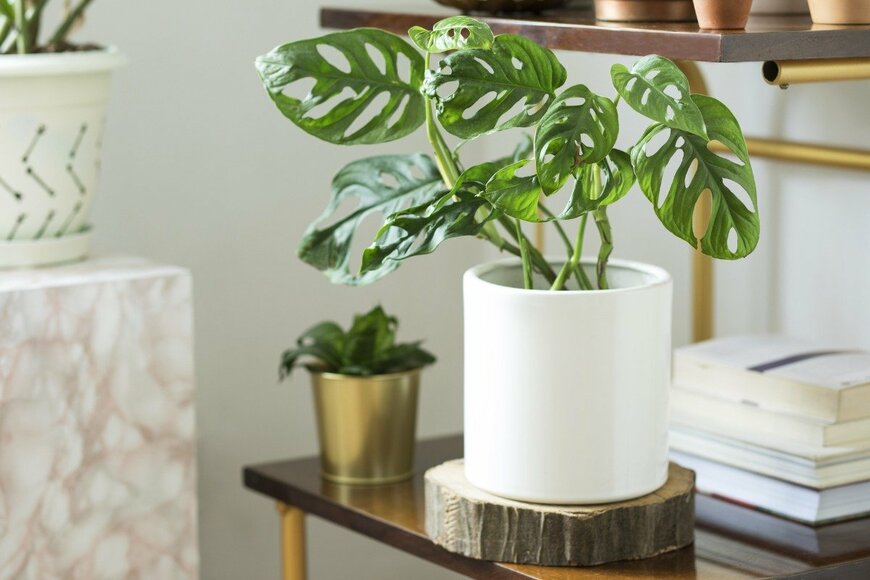 FollowTheFlow/istockphoto.com