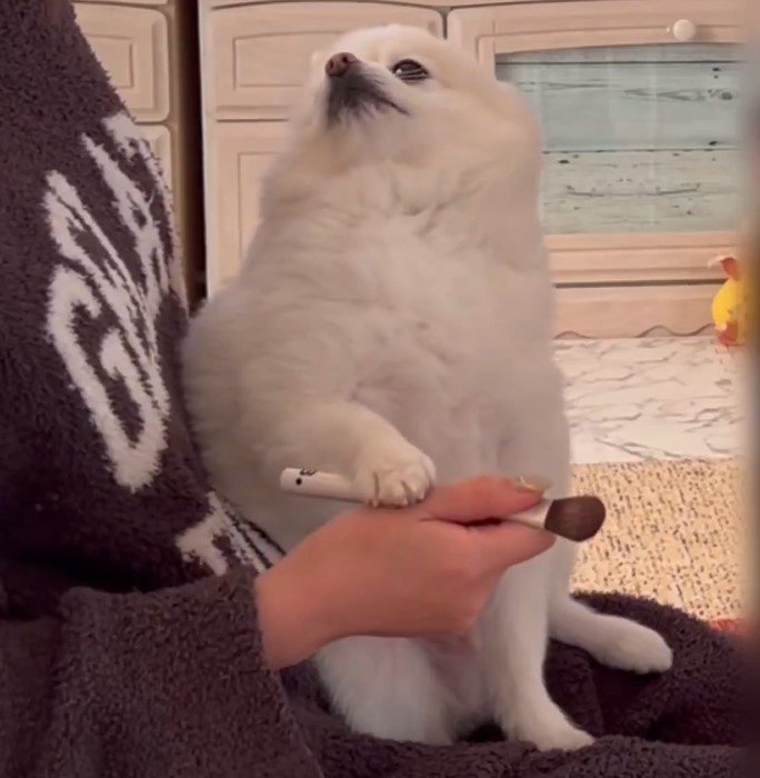 出所：@boku_ponchan