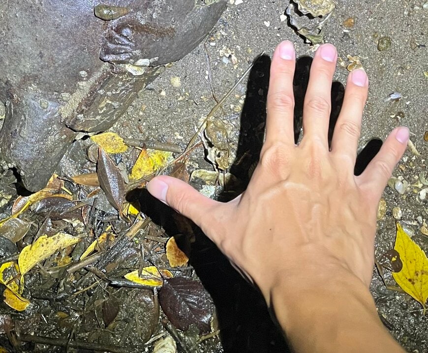 投稿主さんが川底で見つけたものとは？