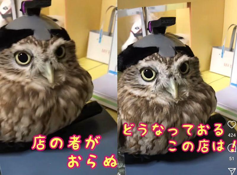 投稿動画のワンシーン