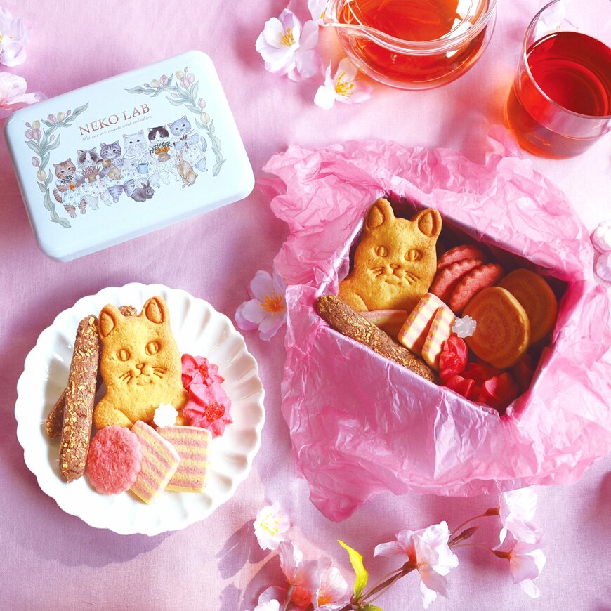 「NEKO LAB」の春限定のプティ缶