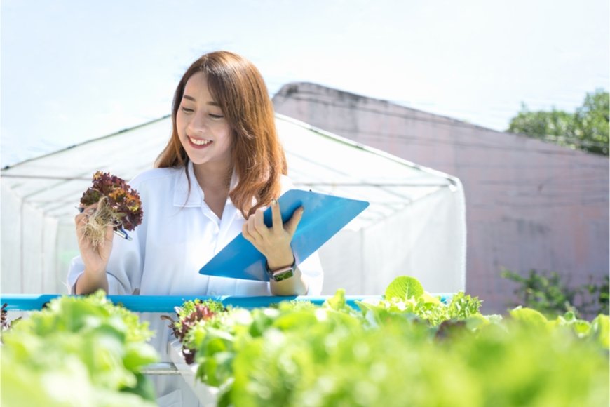 女性の自然科学系研究者の給料はどのくらいか 職業別年収給与給料研究シリーズ Limo くらしとお金の経済メディア